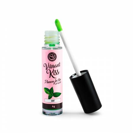 LIP GLOSS VIBRANT KISS MENTA